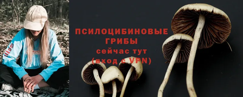 Галлюциногенные грибы Magic Shrooms Каменск-Шахтинский